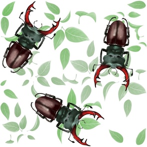 Stag beetles and leaves 