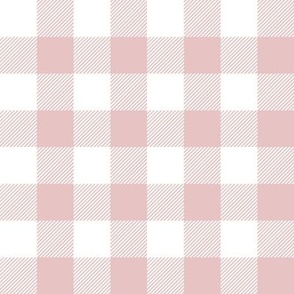 Buy Baby Pink Plaid, Seamless Patterns, Digital Paper, Tartan Textures,  Twill Backgrounds, Buffalo Gingham, Log Cabin Lumberjack, Flannel Checks  Online in India 
