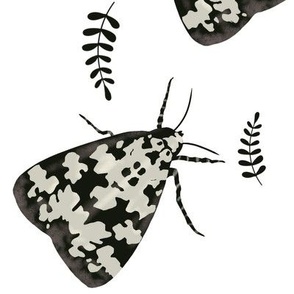 Black and white moth and dark leaves 