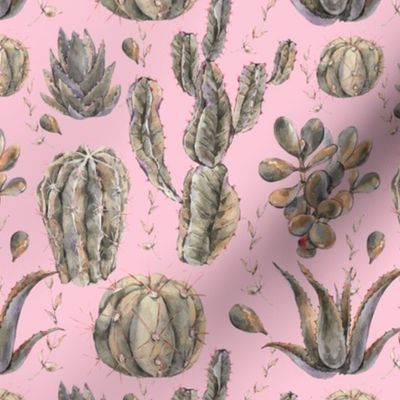 Shabby cactus on pink
