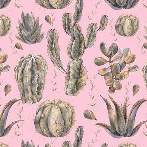 Shabby cactus on pink