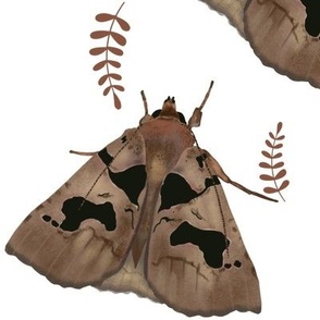 Brown moth with leaves 