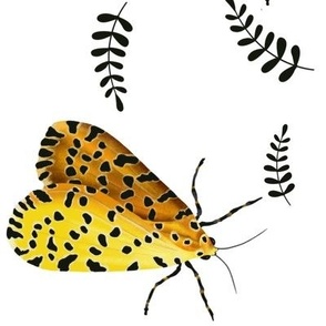Yellow moth and black leaves 