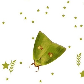 Green moth and yellow stars and leaves 