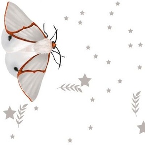 White moth and grey leaves and stars