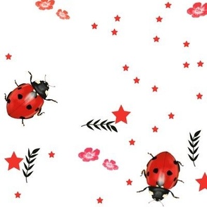 Ladybugs stars and leaves 