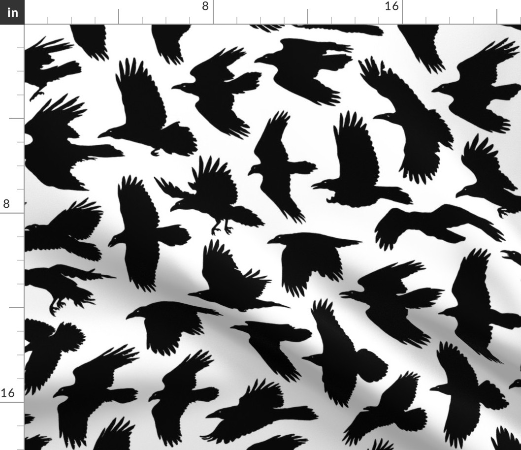 Ravens - black and white