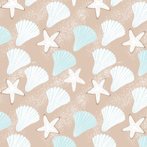 Summer Beach Ocean  Seashells 