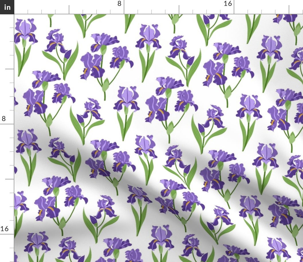 Purple Iris -  White Small