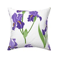 Purple Iris -  White Extra-Large