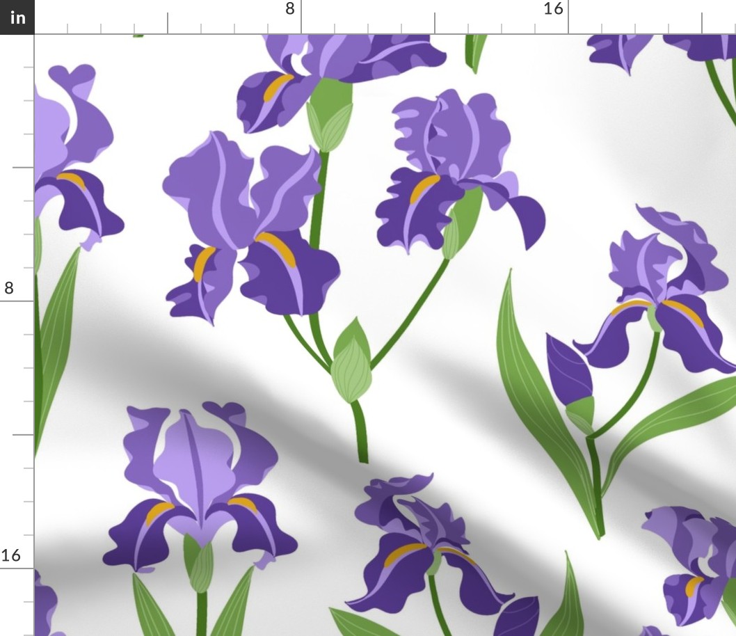 Purple Iris -  White Extra-Large
