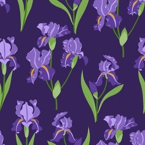 Purple Iris - Purple Small