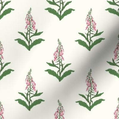 Small Painterly Pink Foxglove Wildflowers with Natural White Background