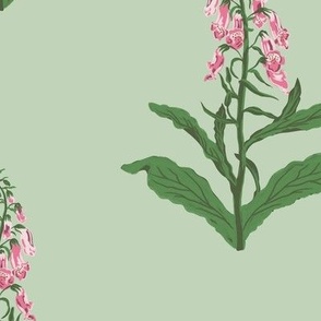 Large Painterly Pink Foxglove Wildflowers with Pastel Green Background