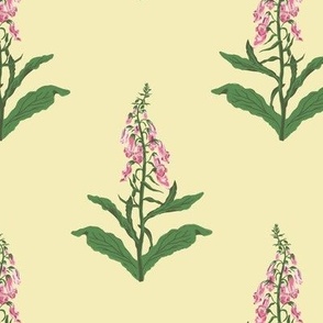 Medium Painterly Pink Foxglove Wildflowers with Butter Yellow Background