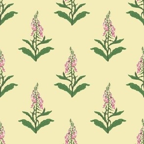 Small Painterly Pink Foxglove Wildflowers with Butter Yellow Background