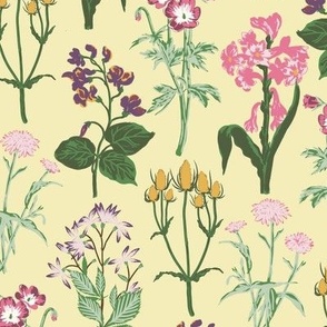 Medium Painterly Wildflowers with a Butter Yellow Background