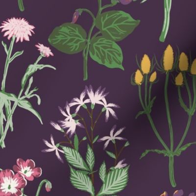 Large Painterly Wildflowers with Dark Purple Background