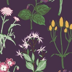 Large Painterly Wildflowers with Dark Purple Background