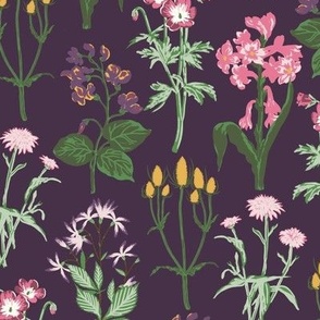 Medium Painterly Wildflowers with Dark Purple Background