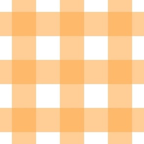 Large Orange Gingham - Orange and White check - 12 inch repeat