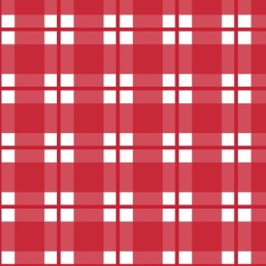 Large scale red and white plaid - red and white gingham with narrow darker stripe - 12 inch repeat