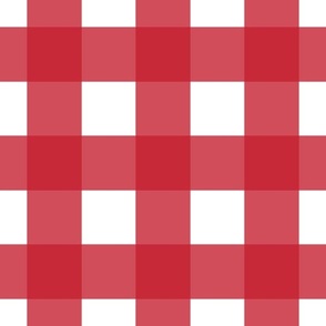 Large Red Gingham - Red and White check - 12 inch repeat