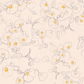 Rock rose line drawings with yellow stamens on a cream background