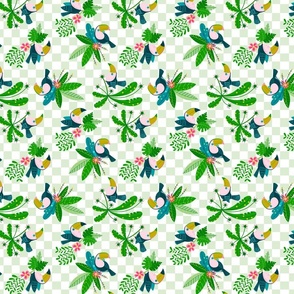 toucans checks green