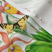 14" Exotic Jungle Beauty: A Vintage Botanical Pattern Featuring Orchids, Hummingbirds, and Butterflies white double layer