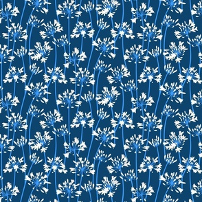 White Agapanthus large scale navy blue by Pippa Shaw