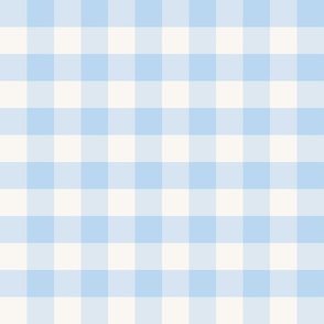 medium 3x3in gingham - light blue