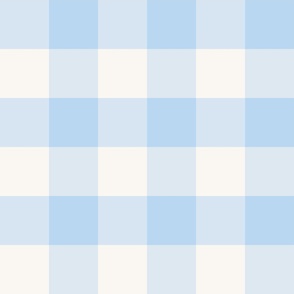 large 6x6in gingham - light blue