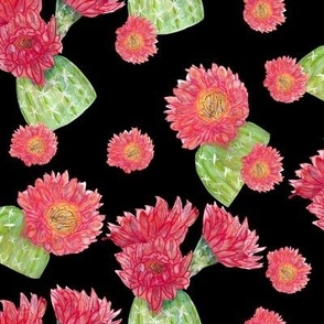 Desert Bloom: Bright Green Cacti with Pink Floral Blooms on Black