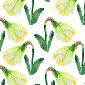 Delightful Daffodils | Watercolor | Large Scale