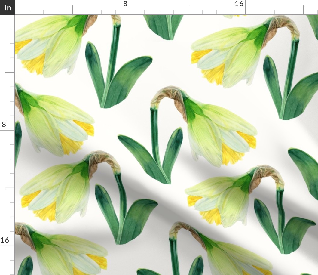 Delightful Daffodils | Watercolor | Large Scale