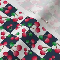 Small Scale Red Summer Cherries on Navy and White Checker
