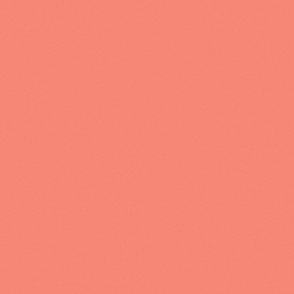 Coral orange-y pink solid color