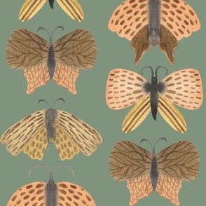 Jumbo hand painted watercolor moths in earth tones on sage green, bed linen, girls wallpaper and home decor