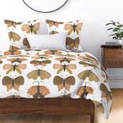 Jumbo hand painted watercolor moths in earth tones on white, bed linen, girls wallpaper and home decor