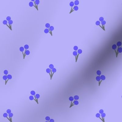 purple seed pods