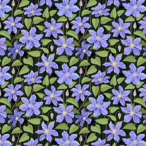 Clematis pattern smaller scale