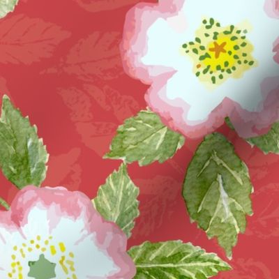 Dog roses on textured red background.