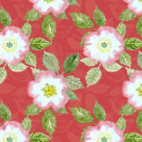 Dog roses on textured red background.