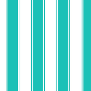 Fat Stripes Cabana in Turquoise or Aqua