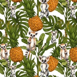 Tropical meercats and exotic leaves, fruits, on white 