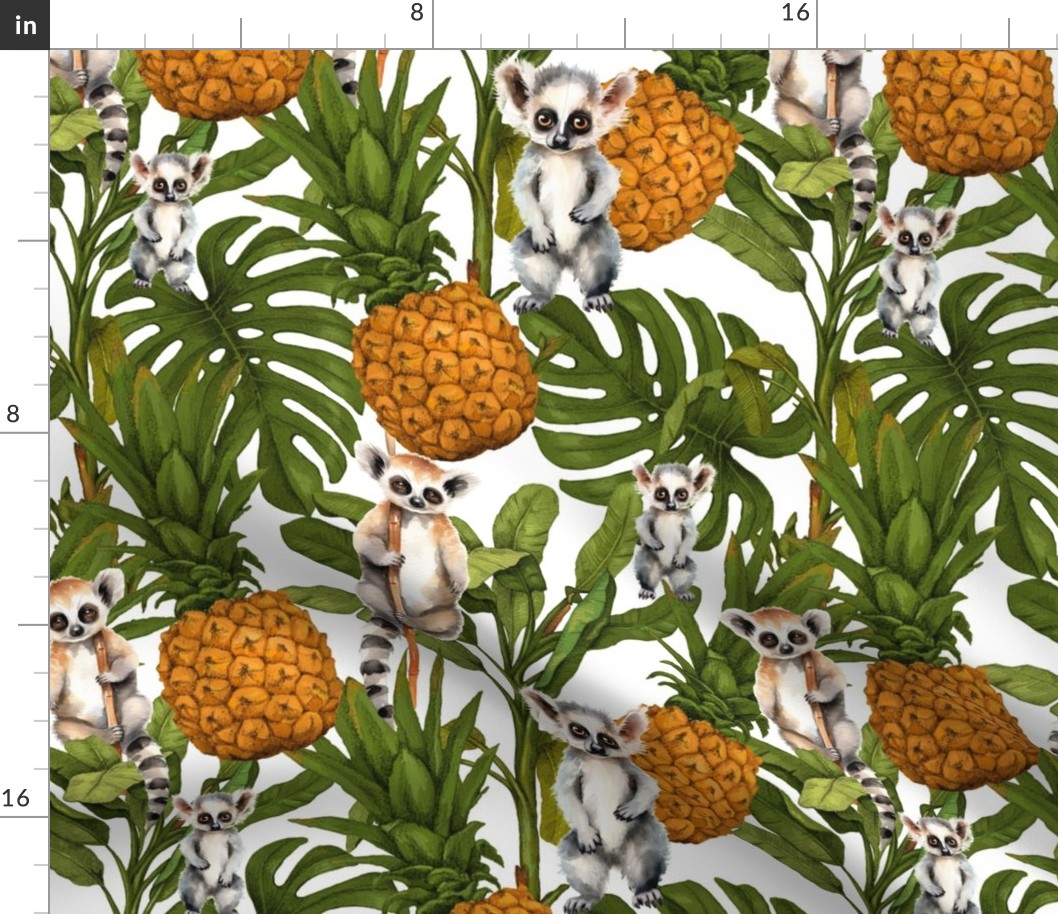 Tropical meercats and exotic leaves, fruits, on white 