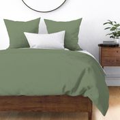 Sage Green Solid: Sage Green 9 Solid