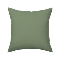 Sage Green Solid: Sage Green 9 Solid