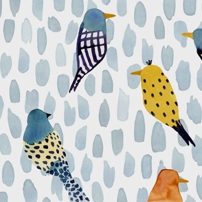 Summer birds - Birds under the rain L